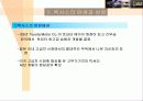 도요타의 글로벌 마케팅 전략과 렉서스의 성공신화 분석(A+자료) 8페이지