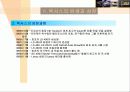 도요타의 글로벌 마케팅 전략과 렉서스의 성공신화 분석(A+자료) 11페이지