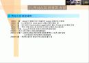 도요타의 글로벌 마케팅 전략과 렉서스의 성공신화 분석(A+자료) 12페이지