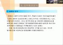 도요타의 글로벌 마케팅 전략과 렉서스의 성공신화 분석(A+자료) 20페이지