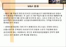 도요타의 글로벌 마케팅 전략과 렉서스의 성공신화 분석(A+자료) 25페이지