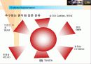 도요타의 글로벌 마케팅 전략과 렉서스의 성공신화 분석(A+자료) 42페이지