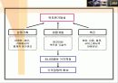 도요타의 글로벌 마케팅 전략과 렉서스의 성공신화 분석(A+자료) 63페이지