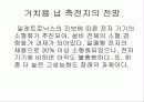 연축전지에 대하여 13페이지