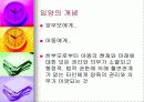 (아동복지) 입양의 실태와 문제점 및 해결방안 6페이지