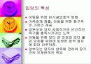 (아동복지) 입양의 실태와 문제점 및 해결방안 7페이지