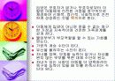 (아동복지) 입양의 실태와 문제점 및 해결방안 9페이지