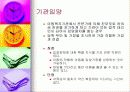 (아동복지) 입양의 실태와 문제점 및 해결방안 12페이지