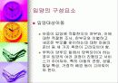 (아동복지) 입양의 실태와 문제점 및 해결방안 14페이지