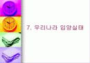 (아동복지) 입양의 실태와 문제점 및 해결방안 20페이지