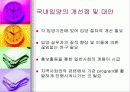 (아동복지) 입양의 실태와 문제점 및 해결방안 24페이지