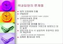 (아동복지) 입양의 실태와 문제점 및 해결방안 31페이지