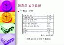 (아동복지) 입양의 실태와 문제점 및 해결방안 37페이지