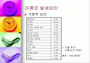 (아동복지) 입양의 실태와 문제점 및 해결방안 38페이지