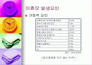 (아동복지) 입양의 실태와 문제점 및 해결방안 39페이지