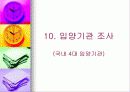 (아동복지) 입양의 실태와 문제점 및 해결방안 42페이지