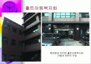 (아동복지) 입양의 실태와 문제점 및 해결방안 43페이지