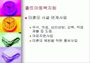 (아동복지) 입양의 실태와 문제점 및 해결방안 49페이지