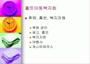 (아동복지) 입양의 실태와 문제점 및 해결방안 50페이지
