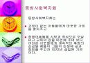 (아동복지) 입양의 실태와 문제점 및 해결방안 51페이지