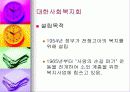 (아동복지) 입양의 실태와 문제점 및 해결방안 52페이지