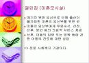 (아동복지) 입양의 실태와 문제점 및 해결방안 56페이지