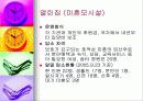 (아동복지) 입양의 실태와 문제점 및 해결방안 57페이지