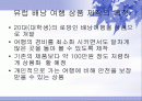 (관광 상품 개발 사업계획서) 29박31일의 유럽문화탐방 사업계획서 2페이지
