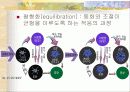 피아제의 인지발달 이론과 교수 학습이론 분석 및 피아제 이론에 기초한 교사의 역할 분석 6페이지