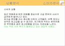 엡솔루트(absolute)분유의 광고기획서(A+레포트) 11페이지