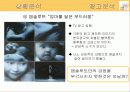 엡솔루트(absolute)분유의 광고기획서(A+레포트) 14페이지