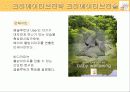 엡솔루트(absolute)분유의 광고기획서(A+레포트) 36페이지
