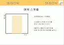 엡솔루트(absolute)분유의 광고기획서(A+레포트) 46페이지