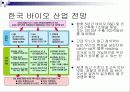 국내 바이오 산업 분석, 정의, 특성, 현황, 대표기업 분석, 전망, 문제점, 개선방안 제언 19페이지