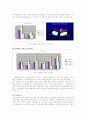 (소비자 행동 분석) 인라인 스케이트에 대한 소비자 안전행동 관련 보고서 7페이지