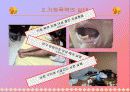 가정폭력 12페이지