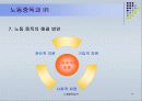 노동중독에 대한 사례 19페이지