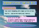 경제적부가가치(EVA) 분석 3페이지