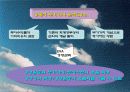 경제적부가가치(EVA) 분석 5페이지