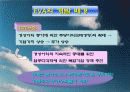 경제적부가가치(EVA) 분석 6페이지
