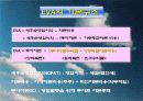 경제적부가가치(EVA) 분석 10페이지