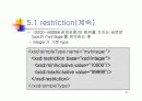 XML 스키마 (Schema) 46페이지
