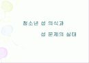 청소년 성 문제 5페이지
