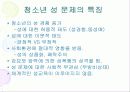 청소년 성 문제 12페이지