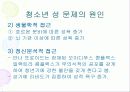 청소년 성 문제 14페이지