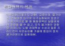 통화정책 3페이지