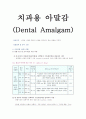 치과용 아말감 보고서 1페이지