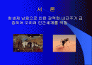 항생제 남용의 위험수위(파워포인트) 2페이지
