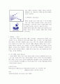 디자인의 원리와 그에 대한 그림 4페이지
