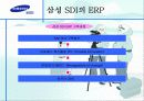 삼성 SDI의 ERP 14페이지